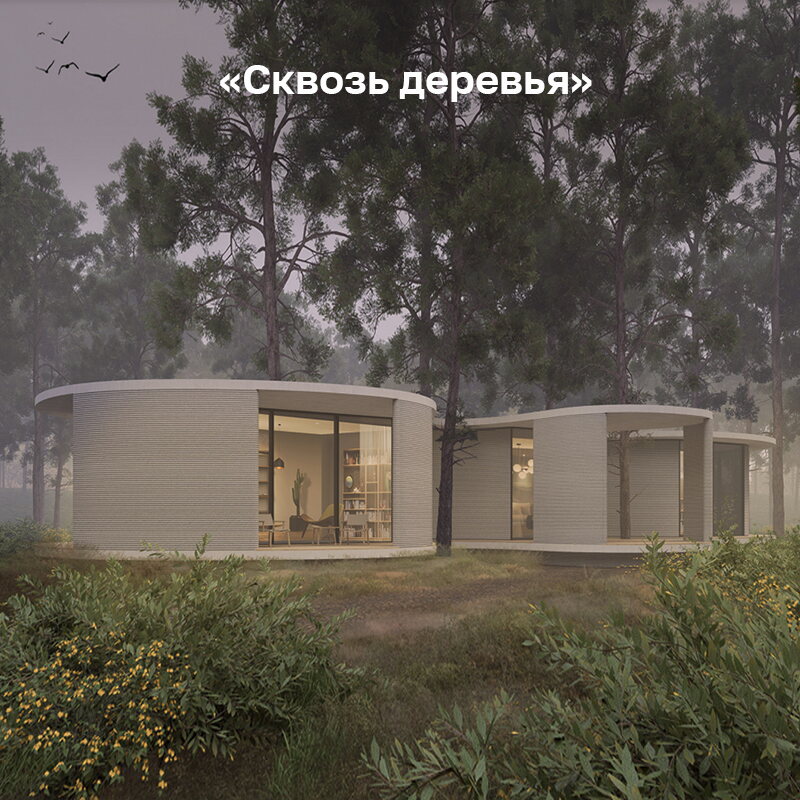 «Сквозь деревья»